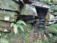 Stone buildings at Craig Furnace, Nant Gwyddon Valley, Abercarn, November 2011